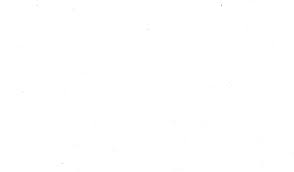 Image/Video Block